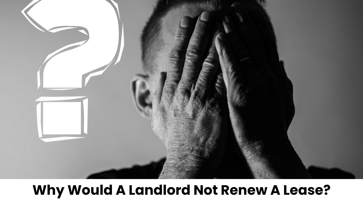 Why Would A Landlord Not Renew A Lease?