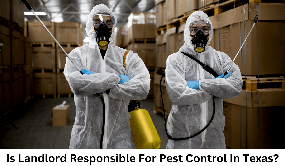 Is Landlord Responsible For Pest Control In Texas?