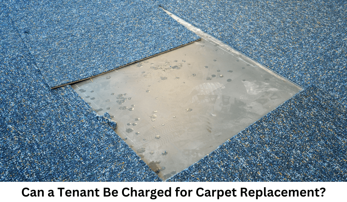 Can a Tenant Be Charged for Carpet Replacement